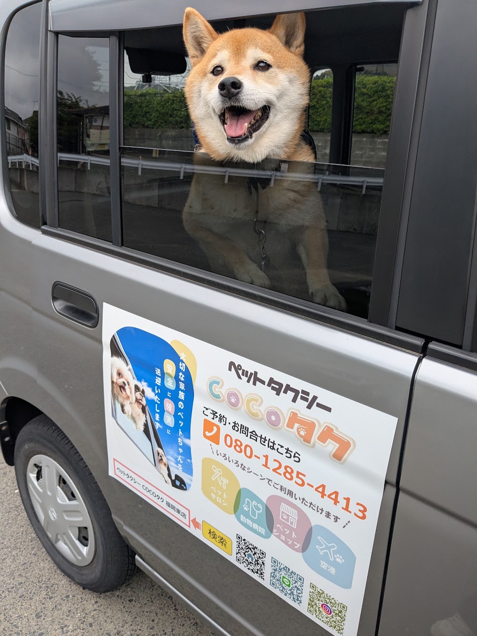cocoタク福岡東 送迎車とミント